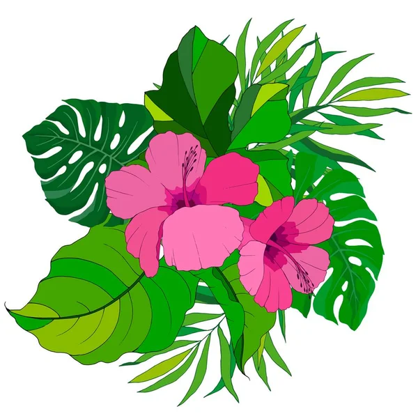 Composición Flores Hojas Plantas Tropicales Ilustración Vectorial Aislar Sobre Fondo — Vector de stock