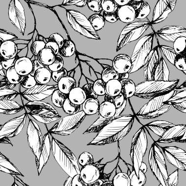 Rowan 'la pürüzsüz desen, duvar kâğıdı ve kumaşlar için süs, ambalaj kağıdı, farklı tasarımlar için arkaplan, yapıştırma kitabı.