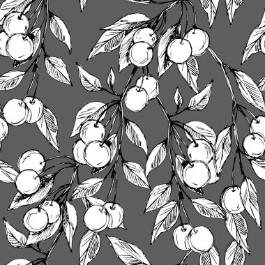 Çizim tarzında kirazlı kusursuz desen, duvar kâğıdı ve kumaşlar için süs, ambalaj kağıdı, farklı tasarımlar için arkaplan, yapıştırma kitabı.