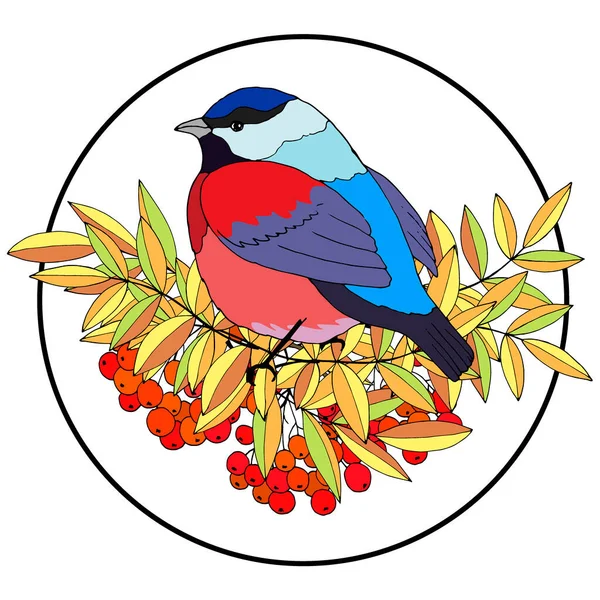Pták Větvi Horským Popelem Vektorová Ilustrace Pro Různé Provedení — Stockový vektor