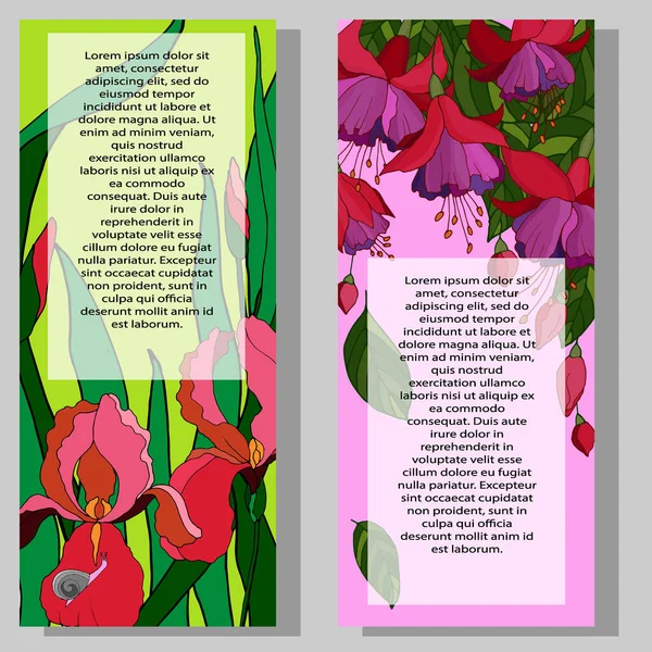 Fond Pour Texte Bannière Avec Des Fleurs Illustration Vectorielle Pour — Image vectorielle