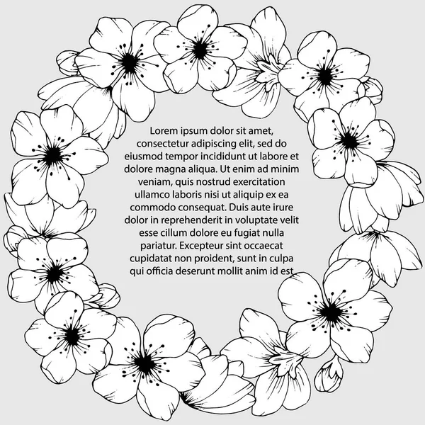 Frame Flowers Sakura Black White Vector Illustration Different Design — Stock Vector