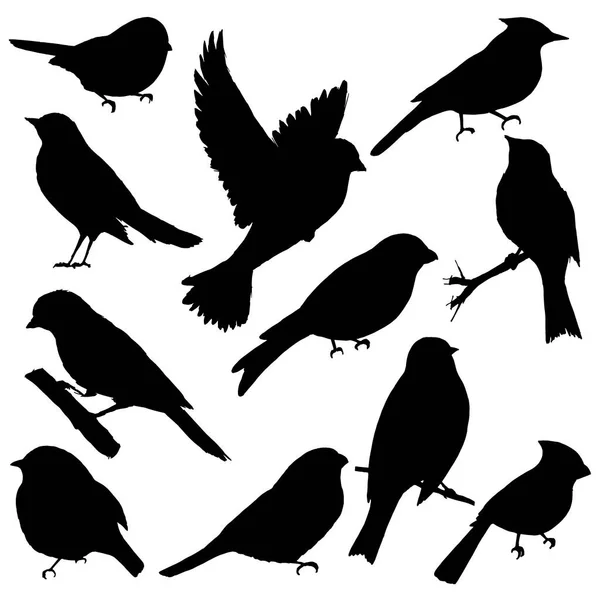 Силуети Птахів Чорного Кольору Векторні Ілюстрації Ізольовані Білому Тлі — стоковий вектор