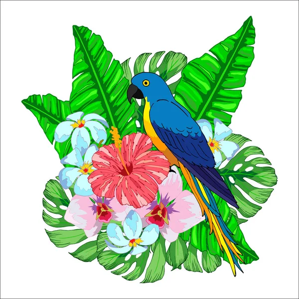 Virágos Grafika Trópusi Virágok Papagáj Trópusi Összetétel Vektor Illusztráció Izolátum — Stock Vector