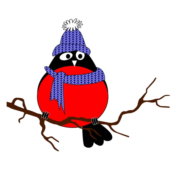 Winter Cartoon Stijl Vogel Met Een Hoed Een Sjaal Geïsoleerd — Stockvector