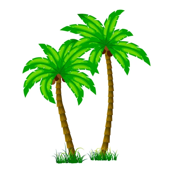 Palmbomen Afbeelding Tekenfilmstijl Isoleren Een Witte Achtergrond Vectorillustratie — Stockvector