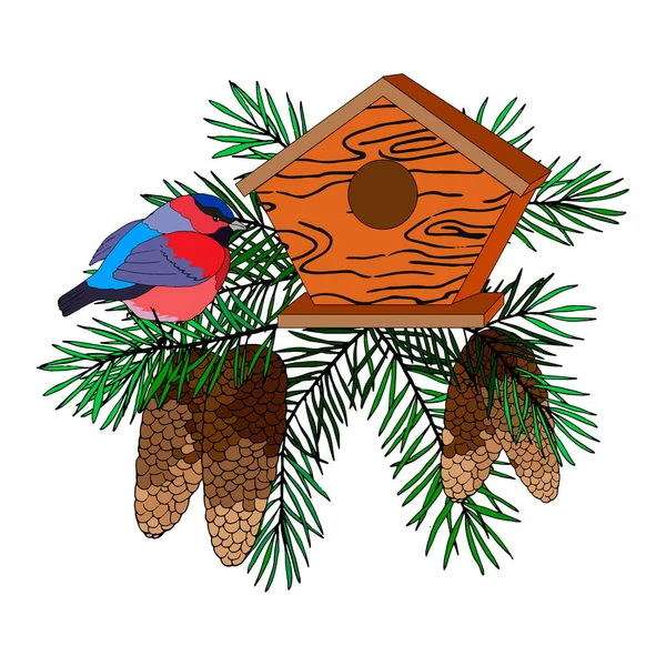 Composizione Rami Abete Coni Uccelli Birdhouse Illustrazione Vettoriale Isolare Uno — Vettoriale Stock