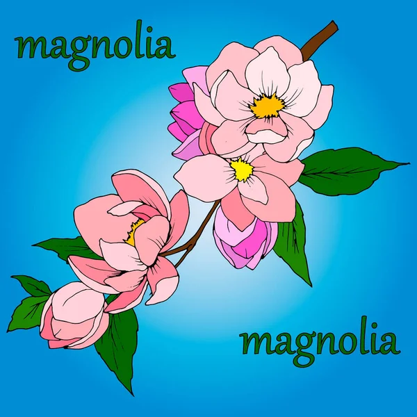 Háttér Élénk Színek Virágok Magnólia Levelek Vektor Illusztráció Izolátum — Stock Vector