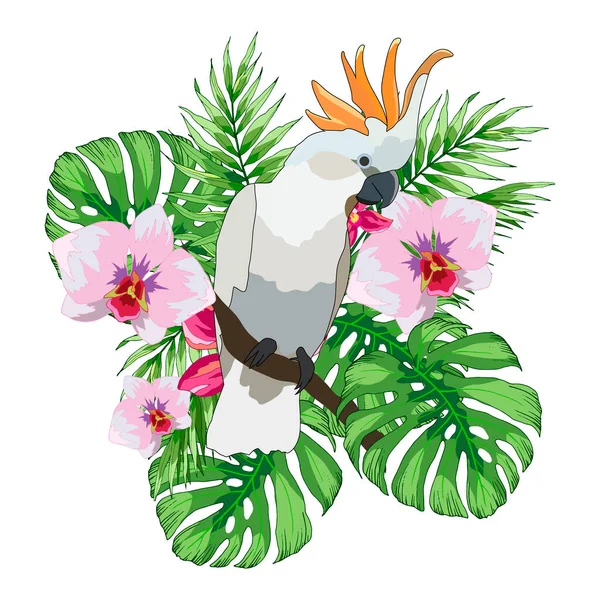 Kompozice Tropickými Květy Listy Monstra Papoušek Vektorové Ilustrace Izolovat — Stockový vektor