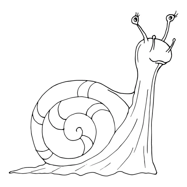 Dibujo Caracol Blanco Negro Carácter Fabuloso Ilustración Vectorial Aislar — Archivo Imágenes Vectoriales