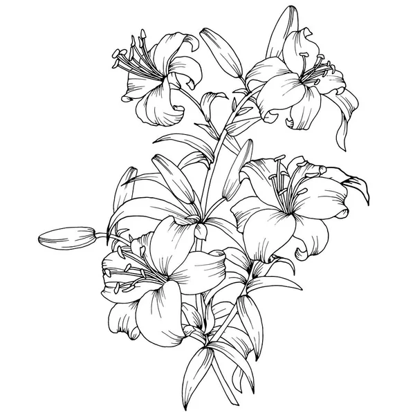 Rama Con Flores Lirios Patrón Blanco Negro Ilustración Vectorial Aislar — Archivo Imágenes Vectoriales
