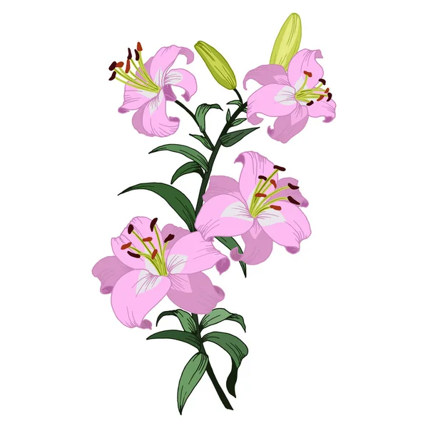 Lilie Tattooストックベクター ロイヤリティフリーlilie Tattooイラスト ページ 11 Depositphotos