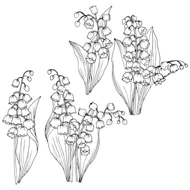 Siyah ve beyaz elementler kümesi, zambak yaprakları ve çiçekleri, vektör çizimi, izole