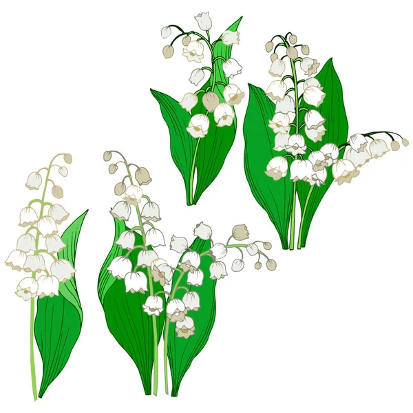 Bouquet of lily of the valley in color, lilies of the lily of the valley, vector illustration, isolate on a white background