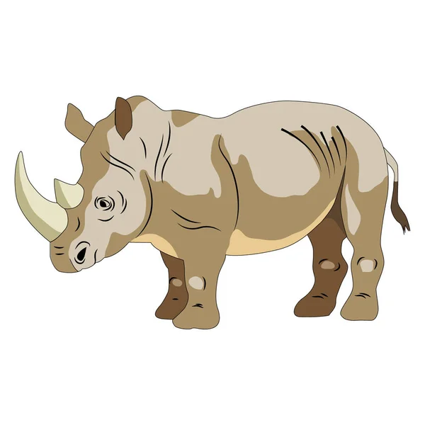 Image Rhinocéros Animal Sauvage Isolat Sur Fond Blanc Illustration Vectorielle — Image vectorielle