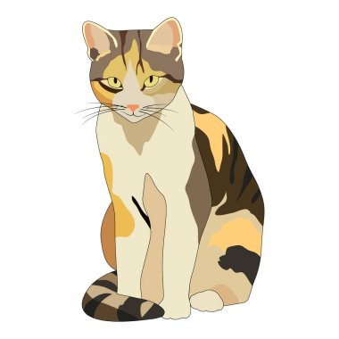 Vektör illüstrasyon, kedi çizimi, beyaz arkaplanda izole et