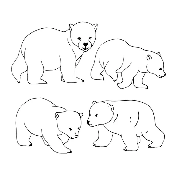 Desenhos Lineares Urso Isolado Sobre Fundo Branco Ilustração Vetorial — Vetor de Stock