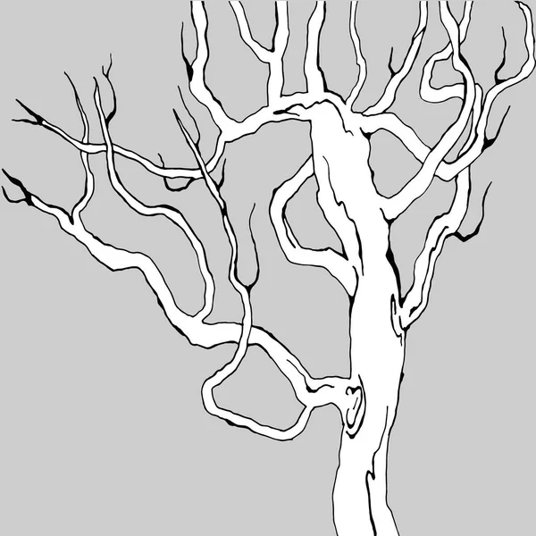 Baum Ohne Grün Auf Grauem Hintergrund Vektorabbildung Für Unterschiedliche Gestaltung — Stockvektor