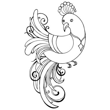 Siyah beyaz çizim, tavus kuşu, vektör çizimi, izole et