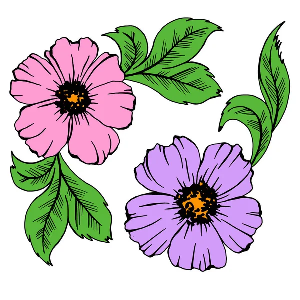 Dibujo Colores Brillantes Flores Hojas Ilustración Vectorial Aislar Sobre Fondo — Vector de stock