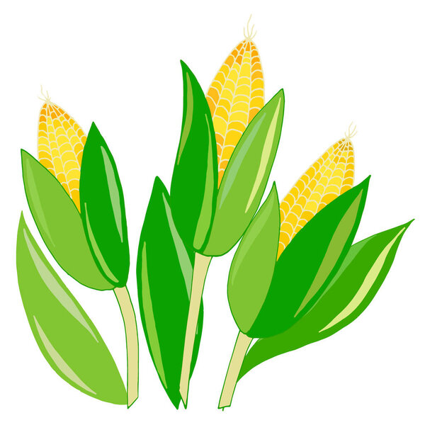 seamless border, with the image of corn and leaves, ornament for wallpaper and fabric, background for scrapbooking, wrapping paper