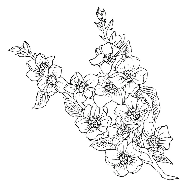 Teckning Svart Och Vitt Gren Med Blommor Vektor Illustration Isolat — Stock vektor