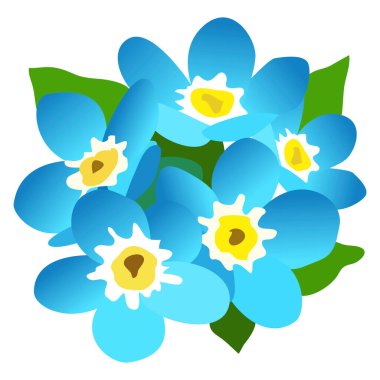 Vektör illüstrasyon, bir buket unutma beni çiçeği, beyaz arkaplanda izole et