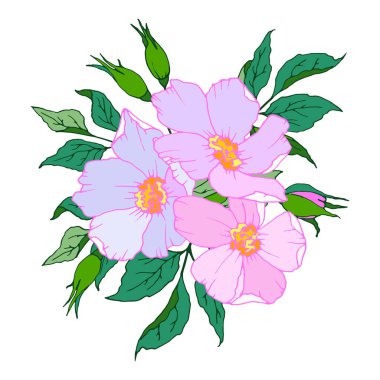 Bahar renklerinde çiçek ve yaprakların çiçekli bileşimi, vektör illüstrasyonu, beyaz arkaplanda izole et