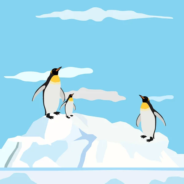 Fondo Colores Azules Pingüinos Iceberg Ilustración Vectorial — Archivo Imágenes Vectoriales