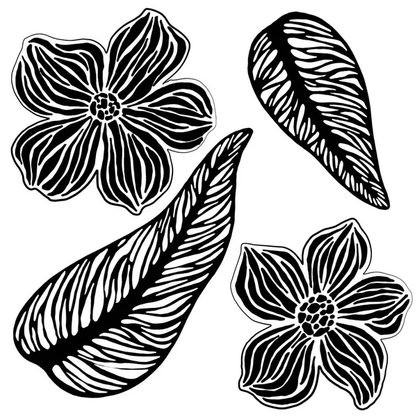 Vector Illustration Abstract Leaves Flowers Black Isolate White — Stock Vector