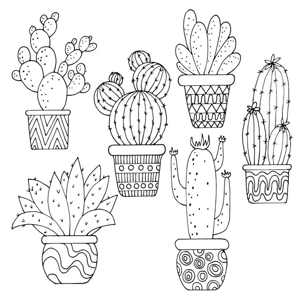 Vektor Illustration Uppsättning Bilder Svart Och Vitt Kaktusar Krukor — Stock vektor