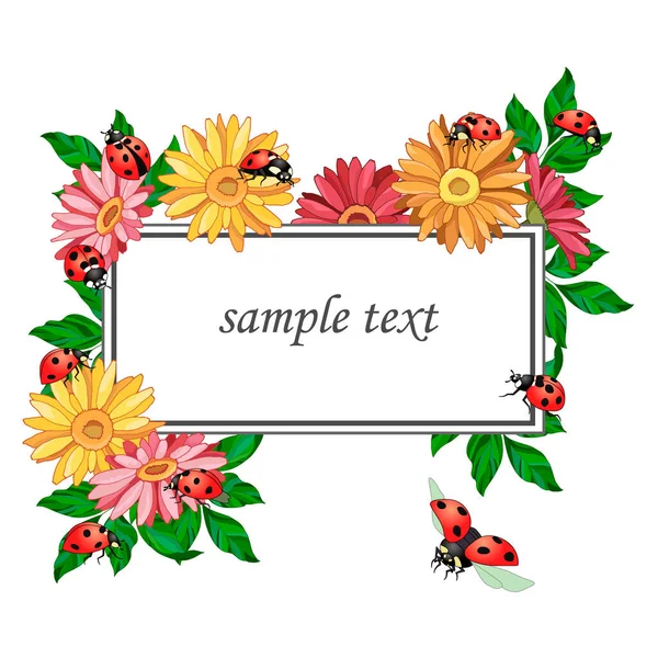 Vektorillustration Banner Für Text Einem Rahmen Mit Blumen Und Marienkäfern — Stockvektor