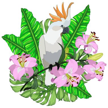 Vektör illüstrasyon, tropik çiçeklerle kompozisyon, canavarlar ve papağan bırakır