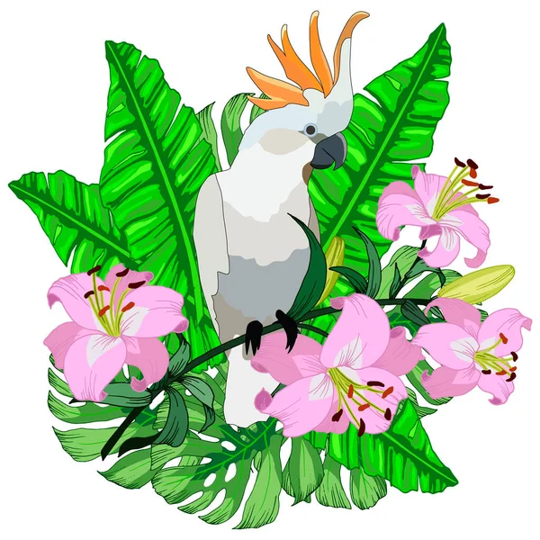 Vektor Illusztráció Összetétele Trópusi Virágok Levelek Szörnyek Papagáj — Stock Vector