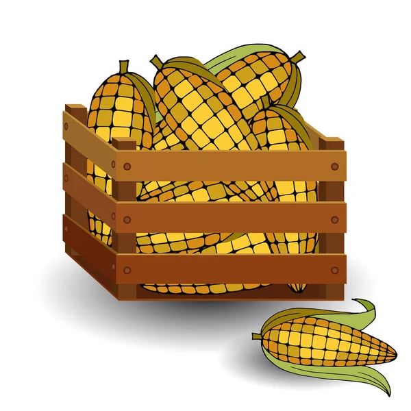 木の箱の中の熟したトウモロコシは白い背景に隔離され秋の果物 — ストックベクタ