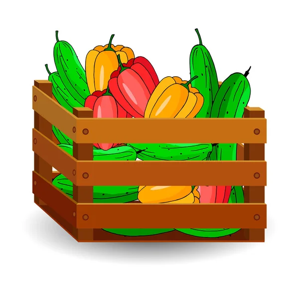 成熟的黄瓜和胡椒粉装在木盒中 在白色的背景上隔离 秋天果实 — 图库矢量图片