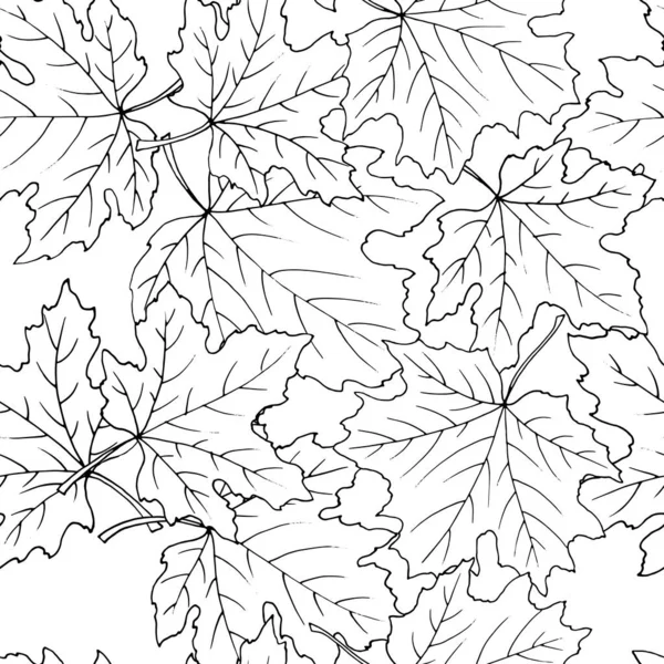 Akçaağaç Yapraklı Siyah Beyaz Kusursuz Desen — Stok Vektör