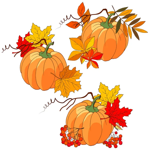 Set Autumn Compositions Pumpkin Maple Leaves Rowan — Stock Vector