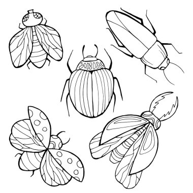 Sinekler, böcekler, arılar, eşekarıları. Vektör çizimi. Siyah çizim. Beyaz arkaplanda izole et.