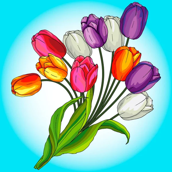 Ramo Tulipanes Hojas Colores Brillantes Aislar Sobre Fondo Blanco — Vector de stock