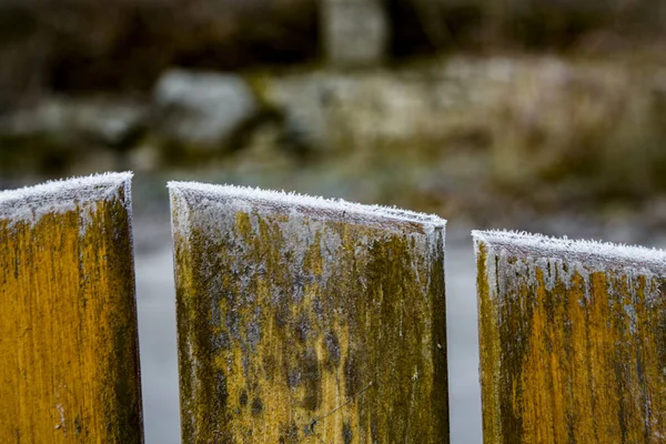 Kapanış tarihleri kış. Sabah hoarfrost ahşap bir çit üzerinde.