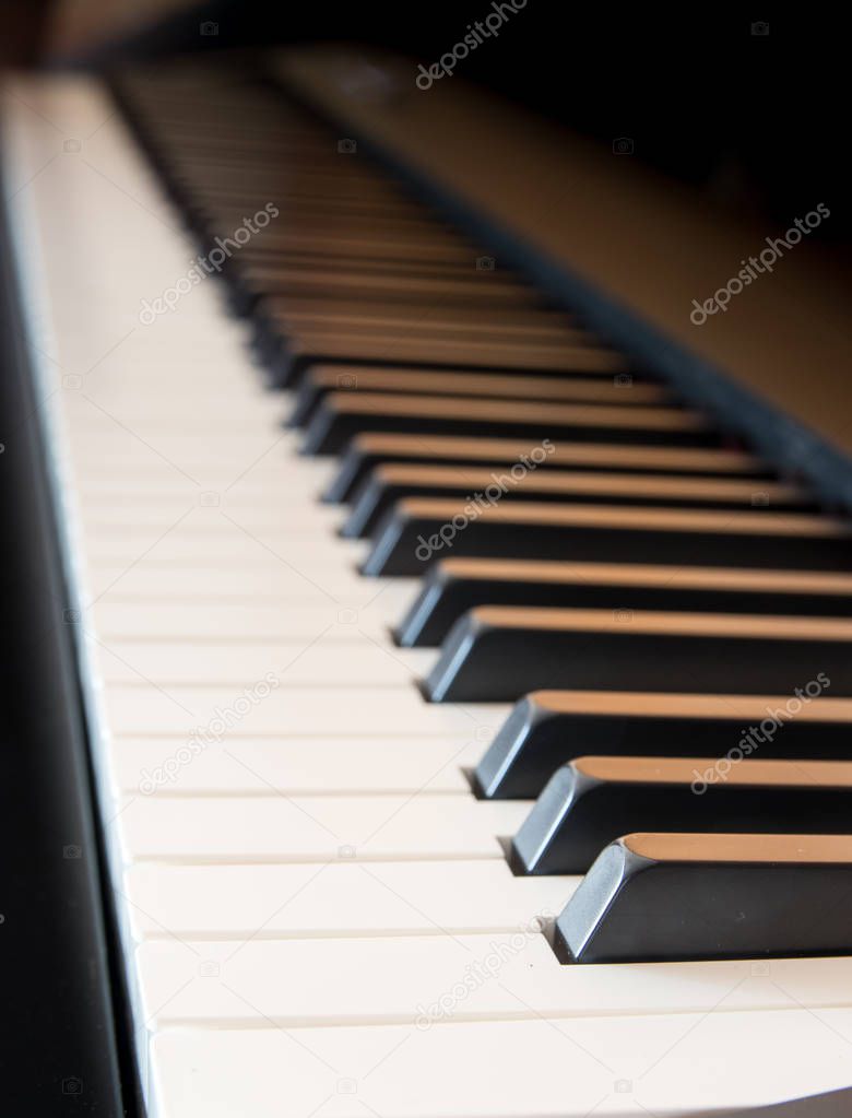 beautiful piano, white and black keys