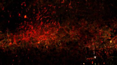 Dijital sanat psychedelic arka plan resmini