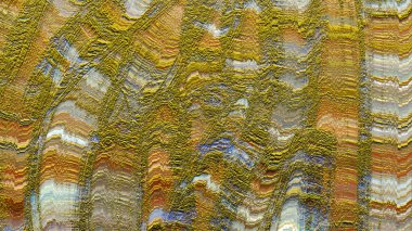 dijital sanat yaratıcı renkli arka plan kavramı