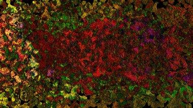 soyut dijital renkli arka plan resmi