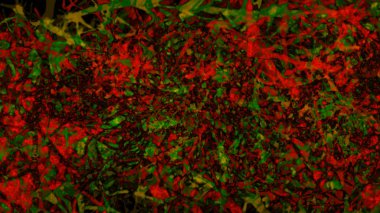 soyut dijital renkli arka plan resmi