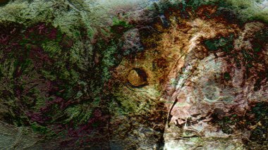 renkli duvar malzeme yüzey dokusunu desen psychedelic arka plan dijital sanat