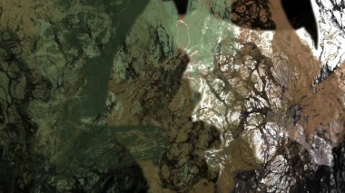 renkli hayatı kökleri doğa bitki örtüsü arka plan dijital sanat