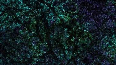 fantastik arka plan dijital soyut çizimi