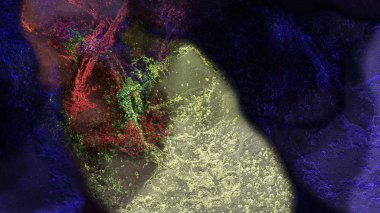 yaratıcı arka plan dijital sanat